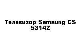Телевизор Samsung CS-5314Z